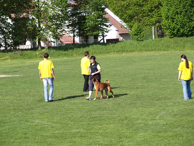 www.atibox.net * www.euroboxer.eu * www.boxergenealogia.eu